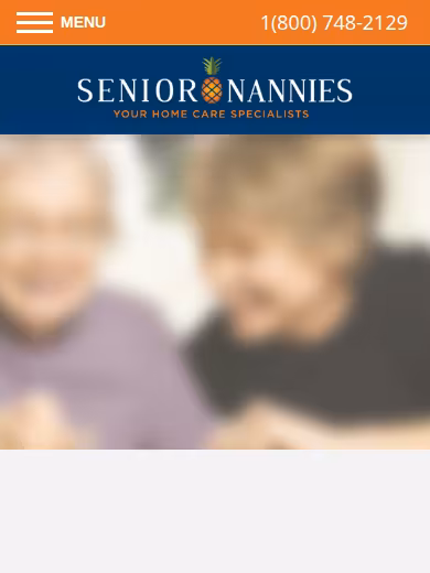 Senior Nannies Homecare Services website