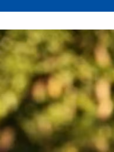 Discovery Commons San Pablo website