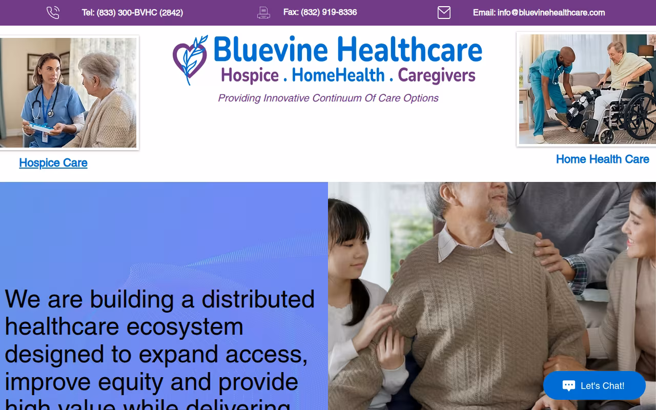 Bluevine Healthcare website