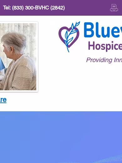 Bluevine Healthcare website