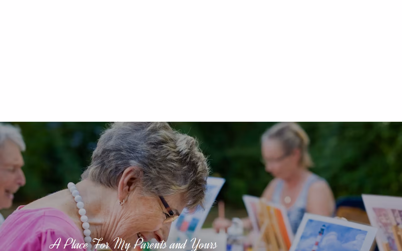 Seniors 1st Choice website