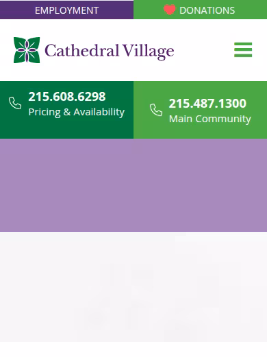 Cathedral Vlilage website