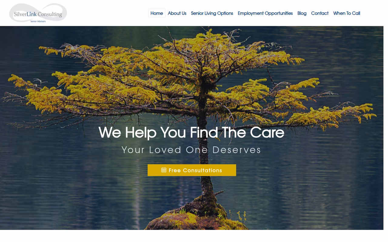 Silverlink Consulting website