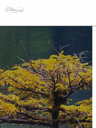 Silverlink Consulting website