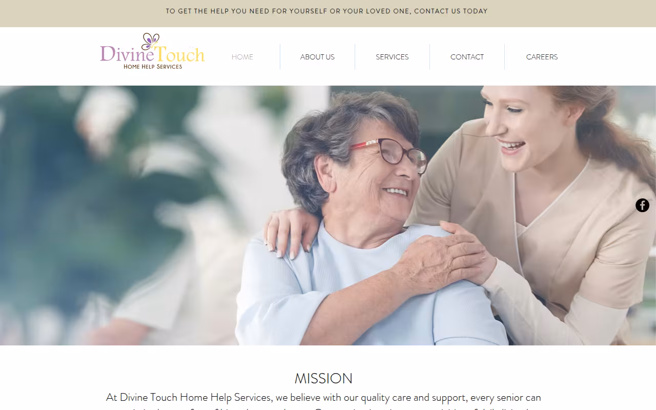 Divine Touch Home Help Services, LLC website