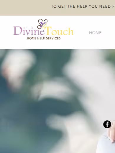 Divine Touch Home Help Services, LLC website