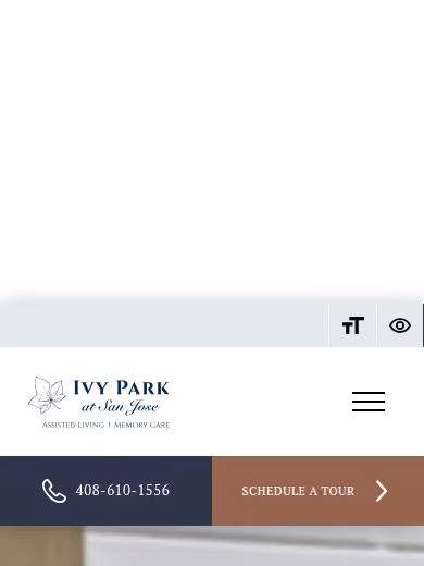 Ivy Park at San Jose website