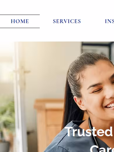 Mazal Nursing Services, Inc. website