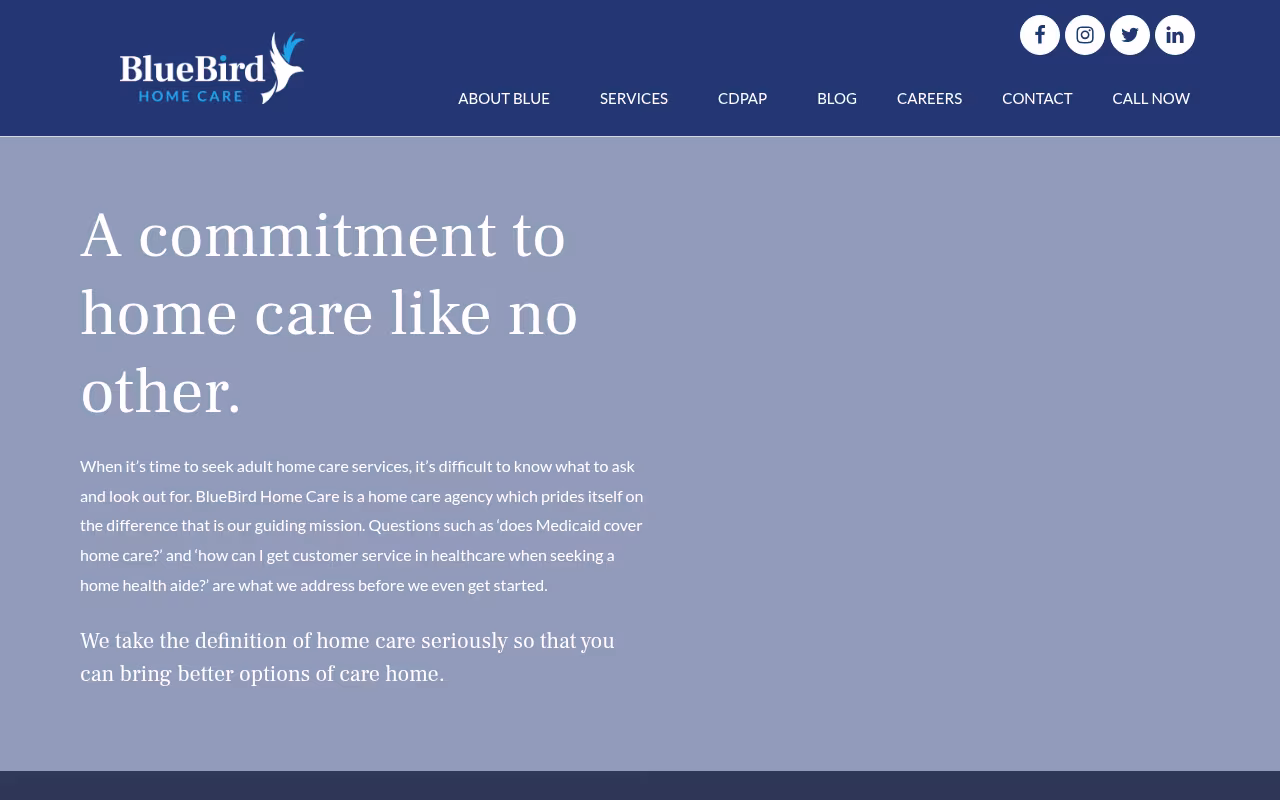 BlueBird Home Care website