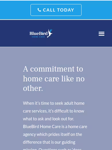 BlueBird Home Care website