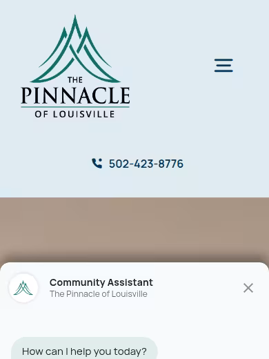 The Pinnacle of Louisville website
